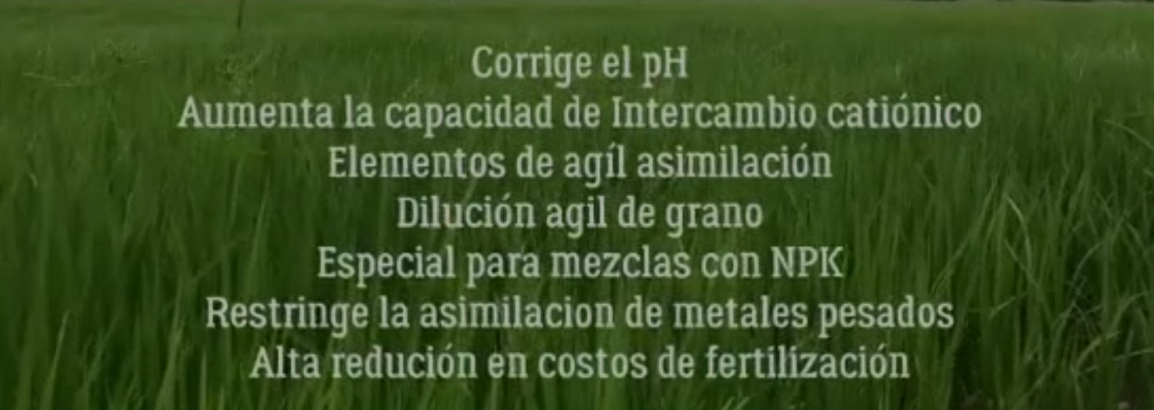 Biofort Silicio Granulado