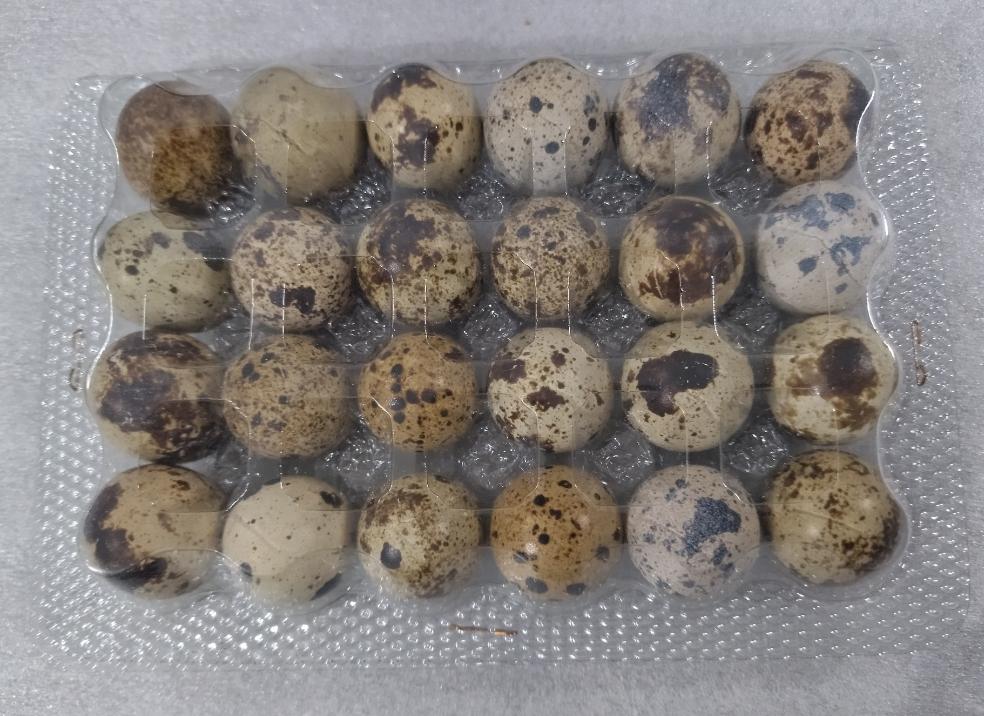 Huevos De Codorniz 24 Unidades