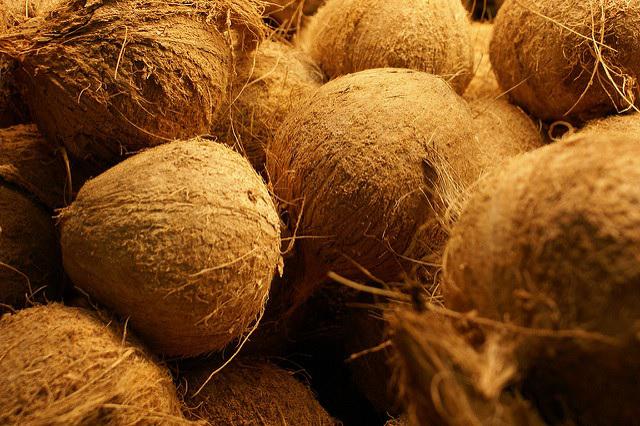 Cocos