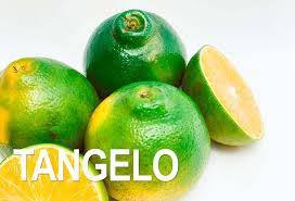 Naranja Tangelo