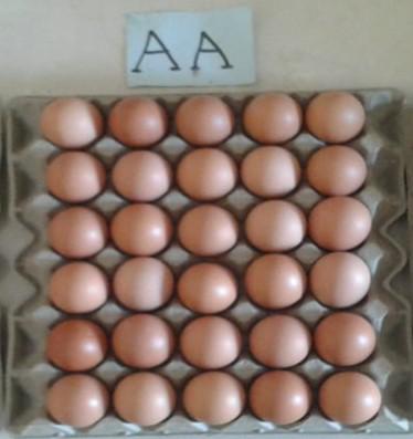 Panal De Huevos Tipo Aa