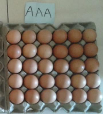 Panal De Huevos Tipo Aaa