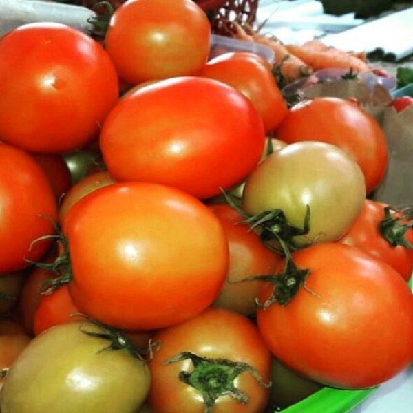 Tomate