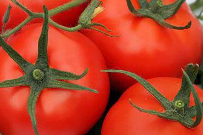 Tomate De Mesa Larga Vida