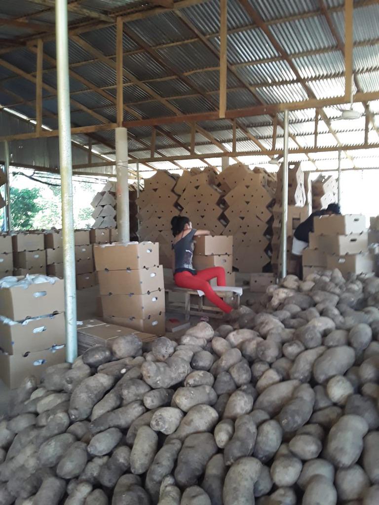 Name En Caja De 225 Kg