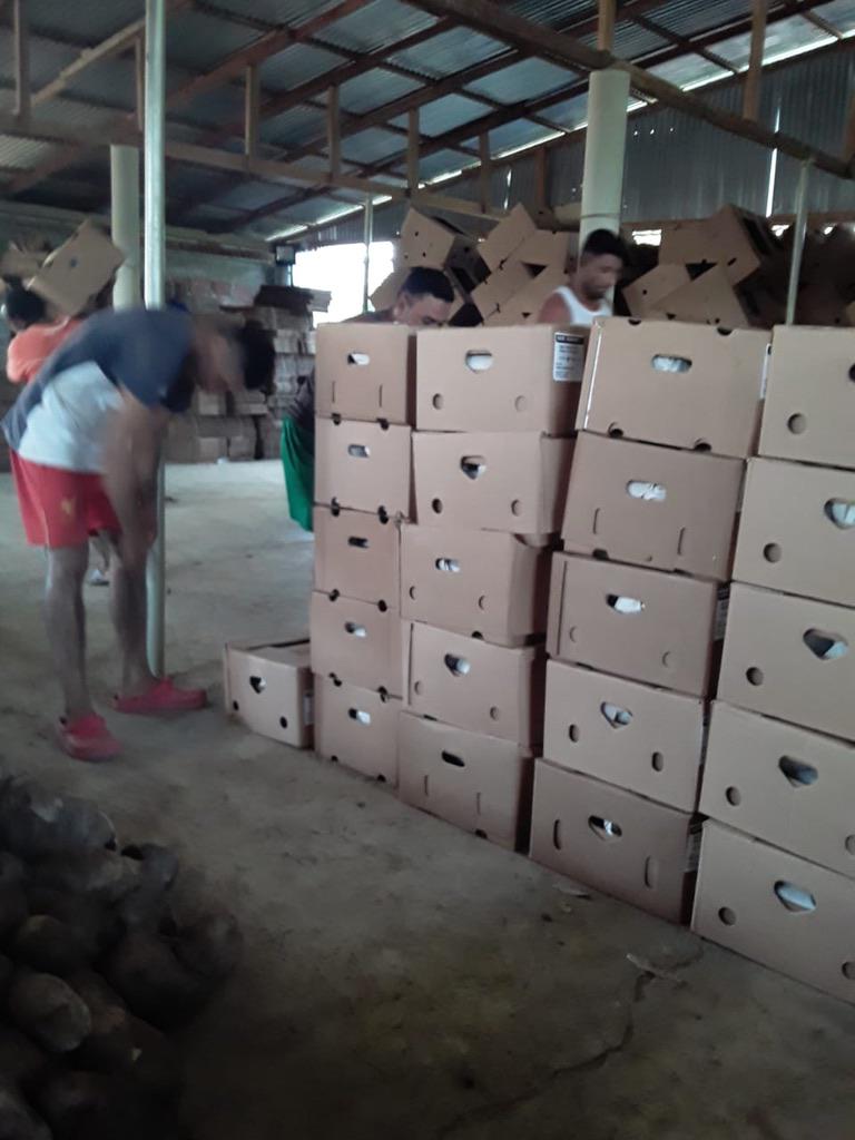 Name En Caja De 225 Kg