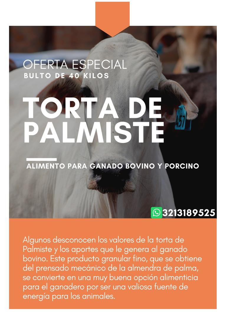 Torta De Palmiste