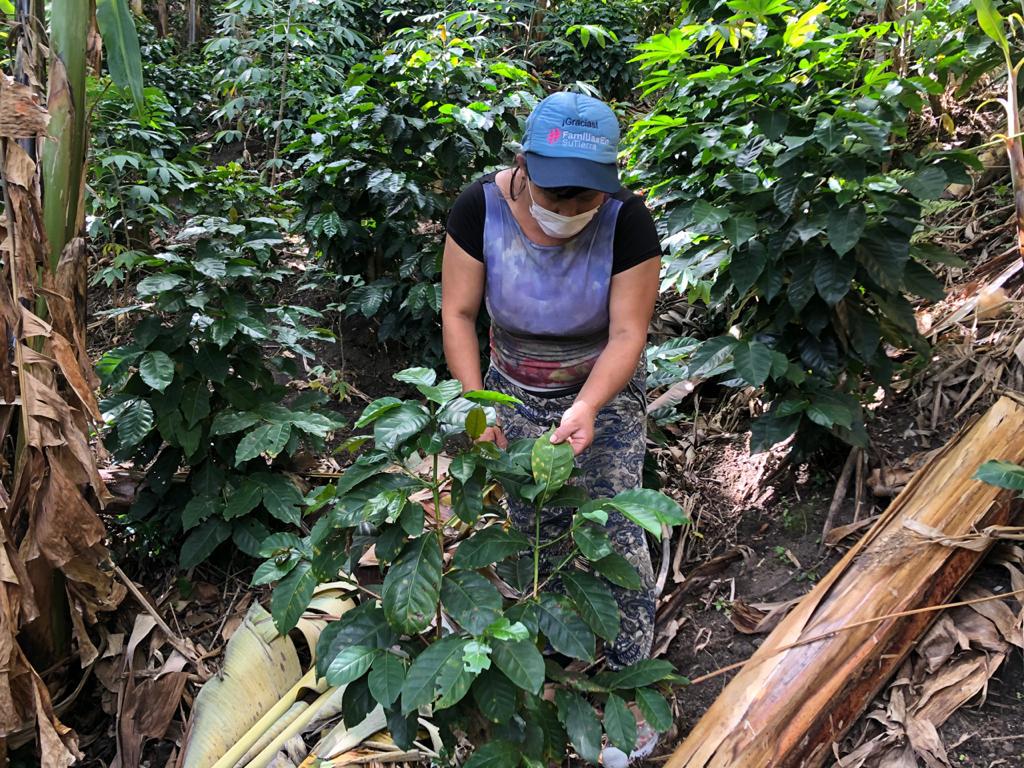 Cafe El Naranjo