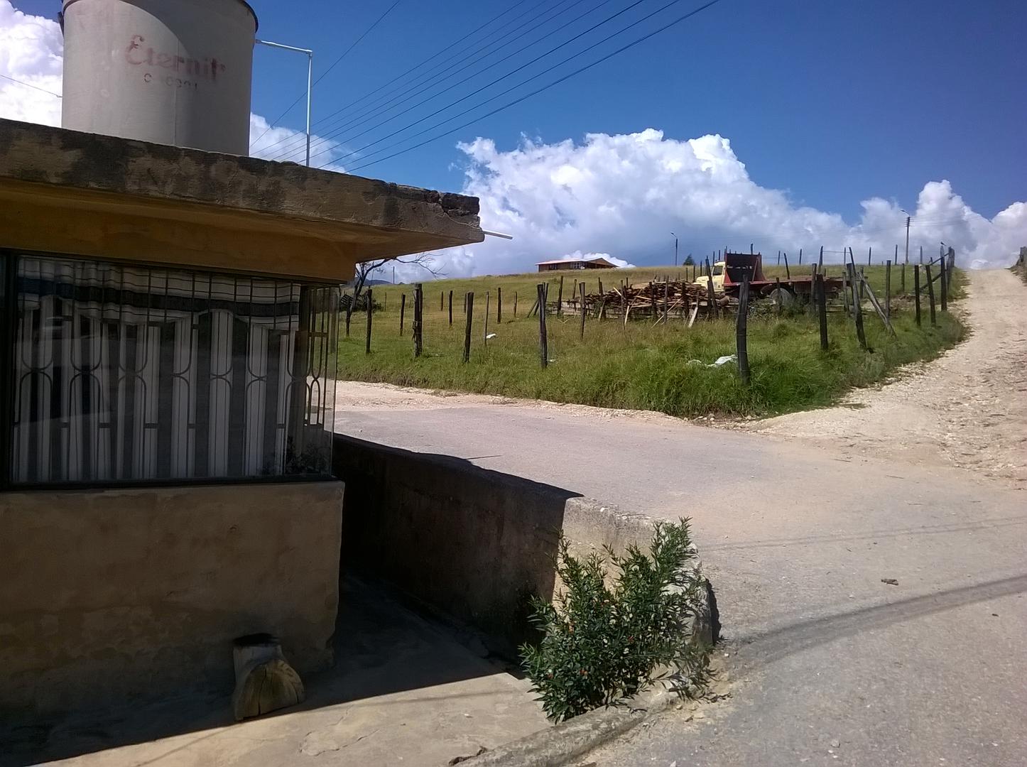 Manzanapera Duraznociruelo