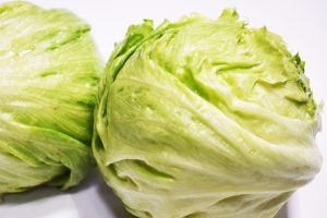Lechuga Batavia