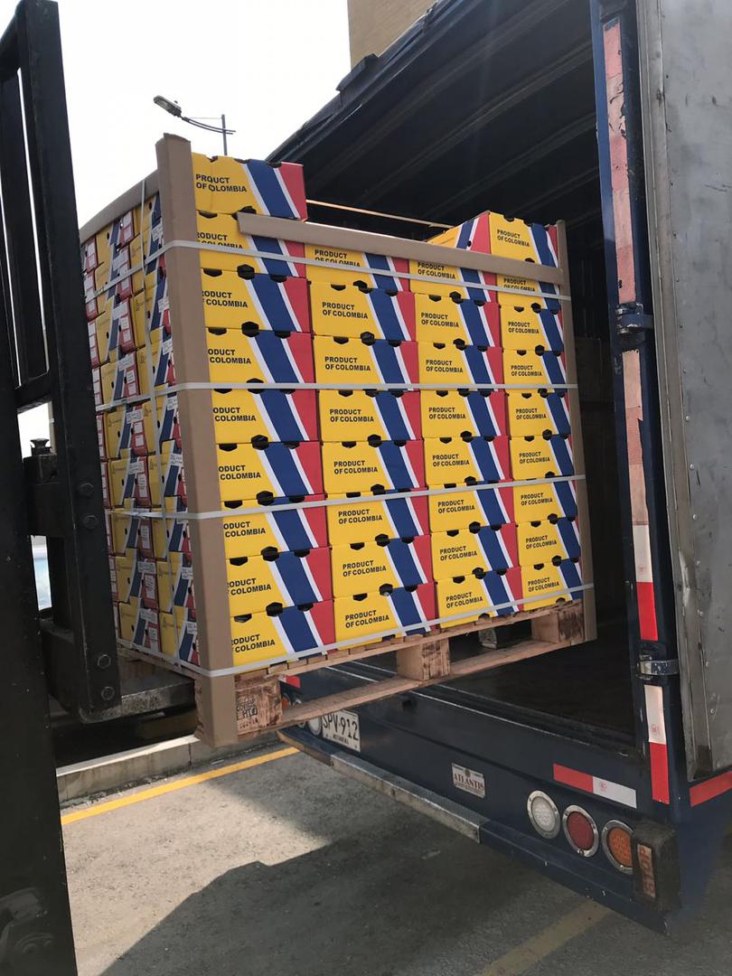 Pina Md2 Exportacion