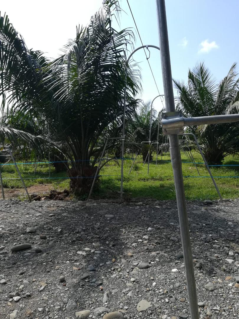 Sistema De Cable Via Para Transporte Agricola