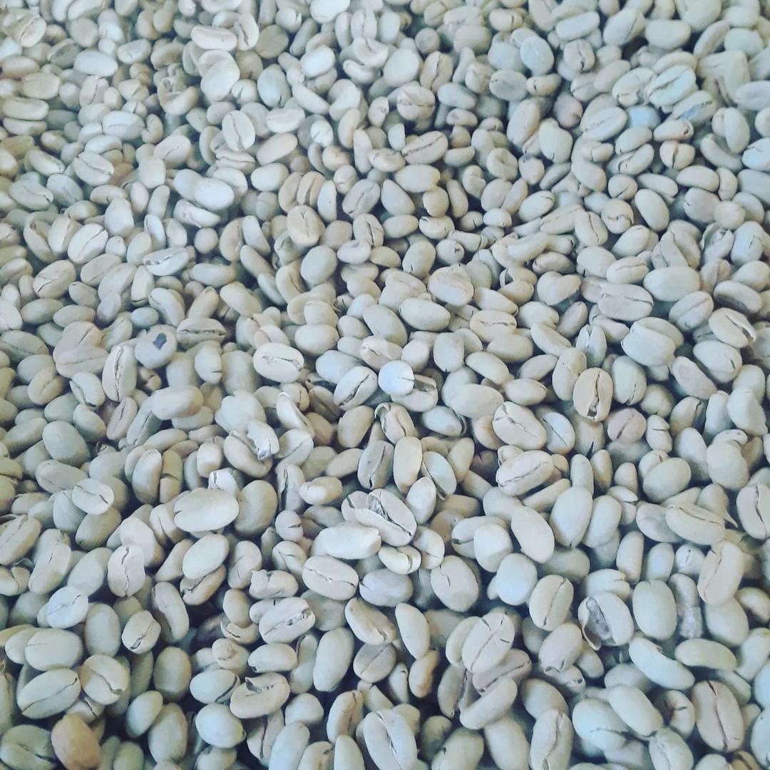 Cafe Pergamino