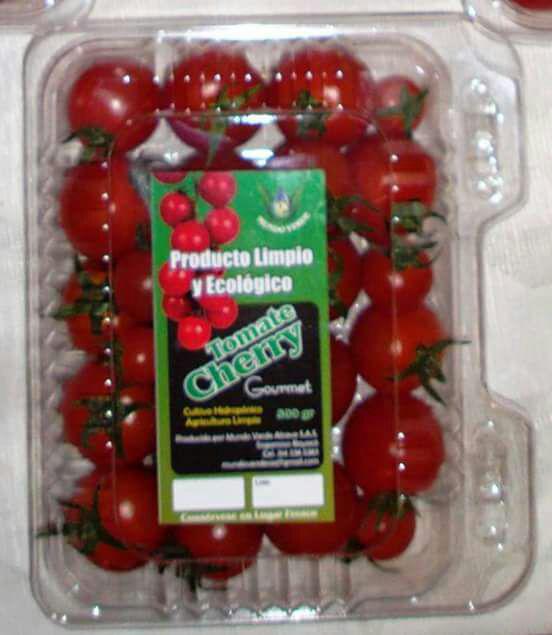 Tomate Chonto Larga Vida Y Cherry
