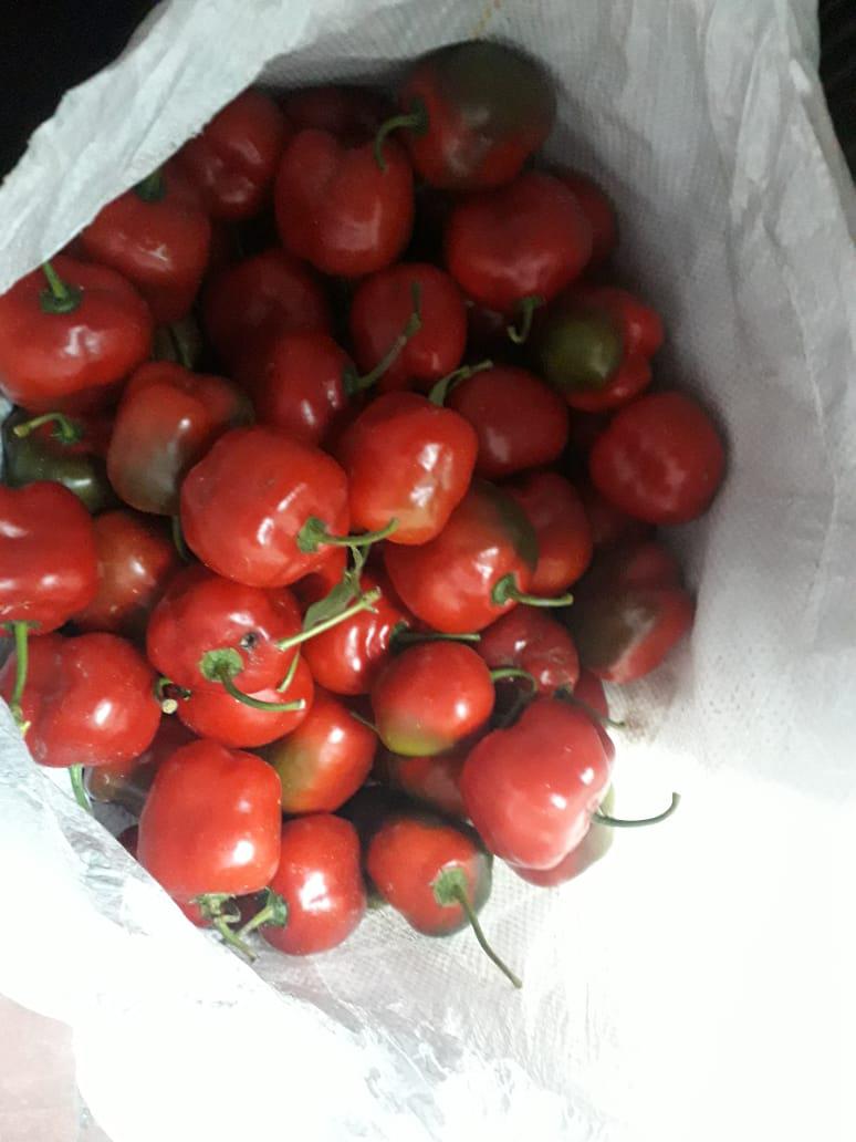 Aji Dulce