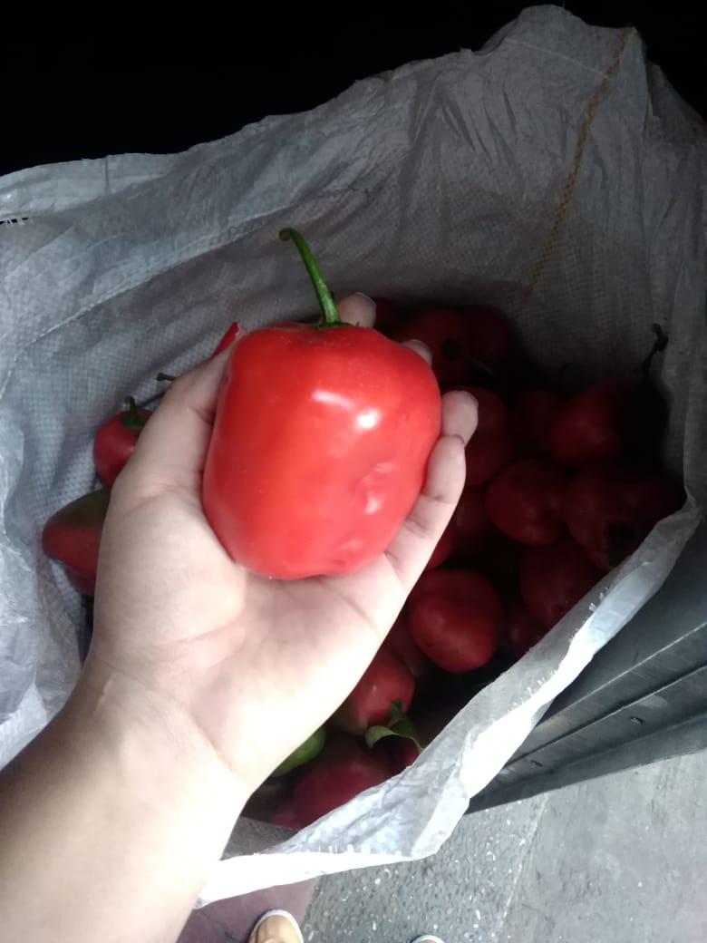 Aji Dulce