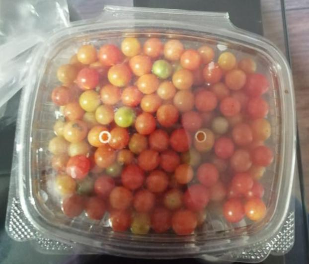 Tomate Perla