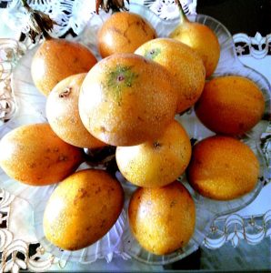 Granadilla