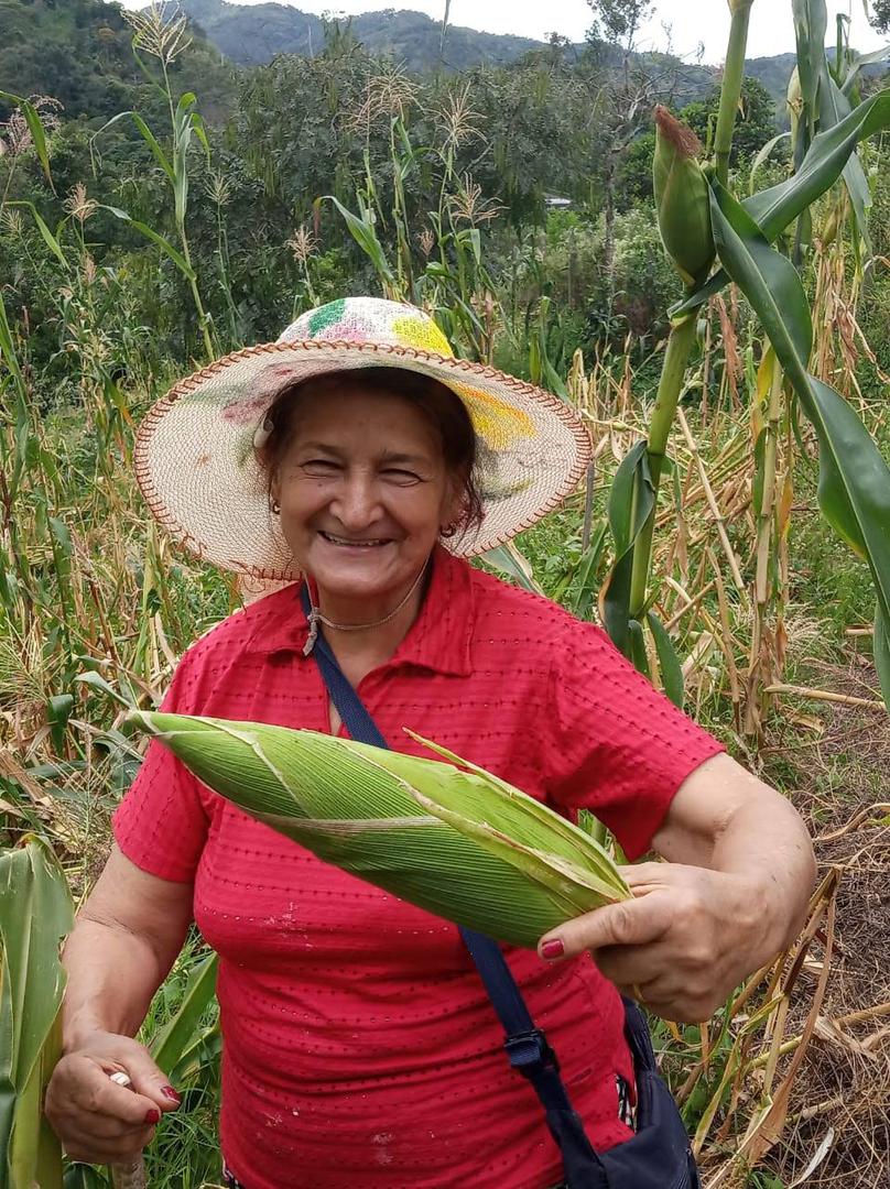 Maiz Sin Pesticidas