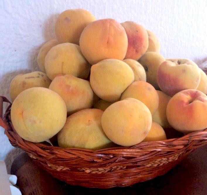 Durazno Dorado