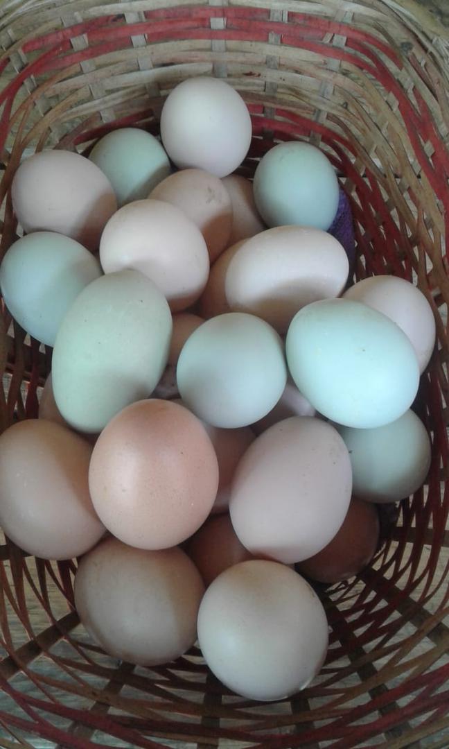 Huevos Campesinos