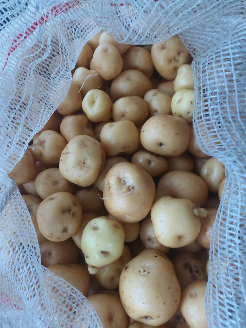 Bulto De Papa Criolla