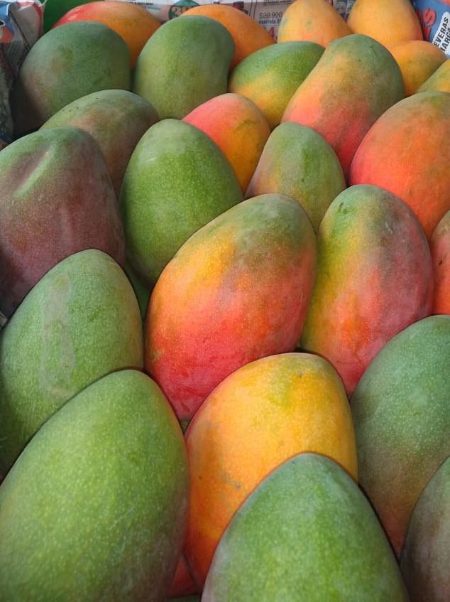 Mango Yulima