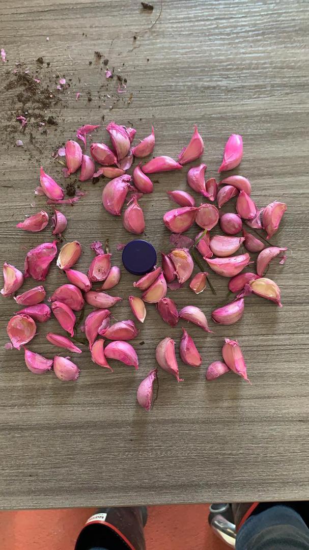 Ajo Rosado — foto 2 de 2