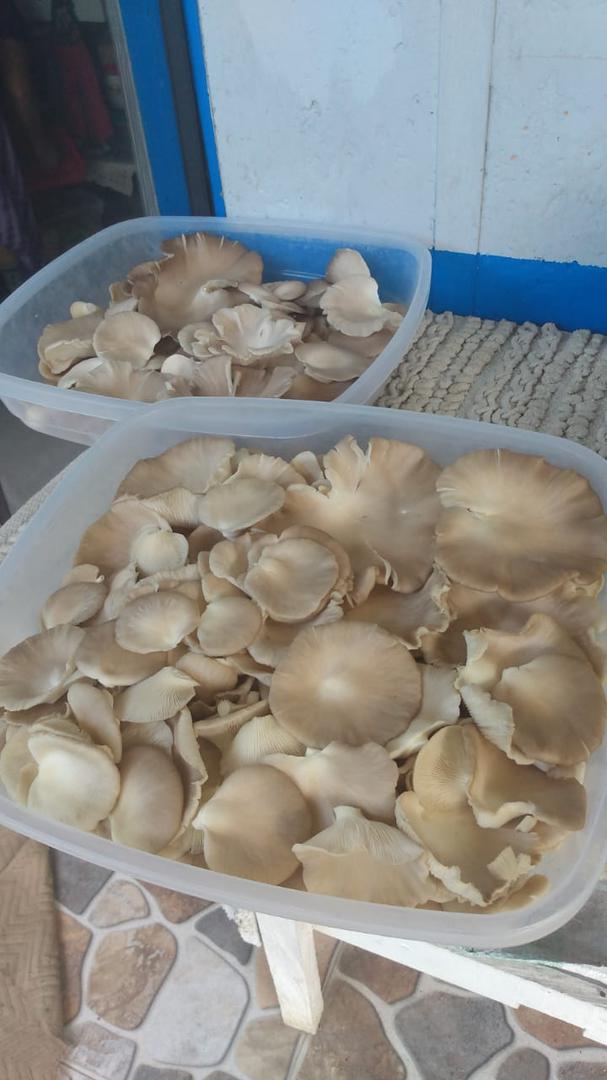 Orellanas De 250 Gr