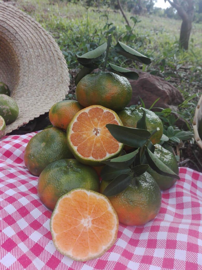 Mandarina Arrayana
