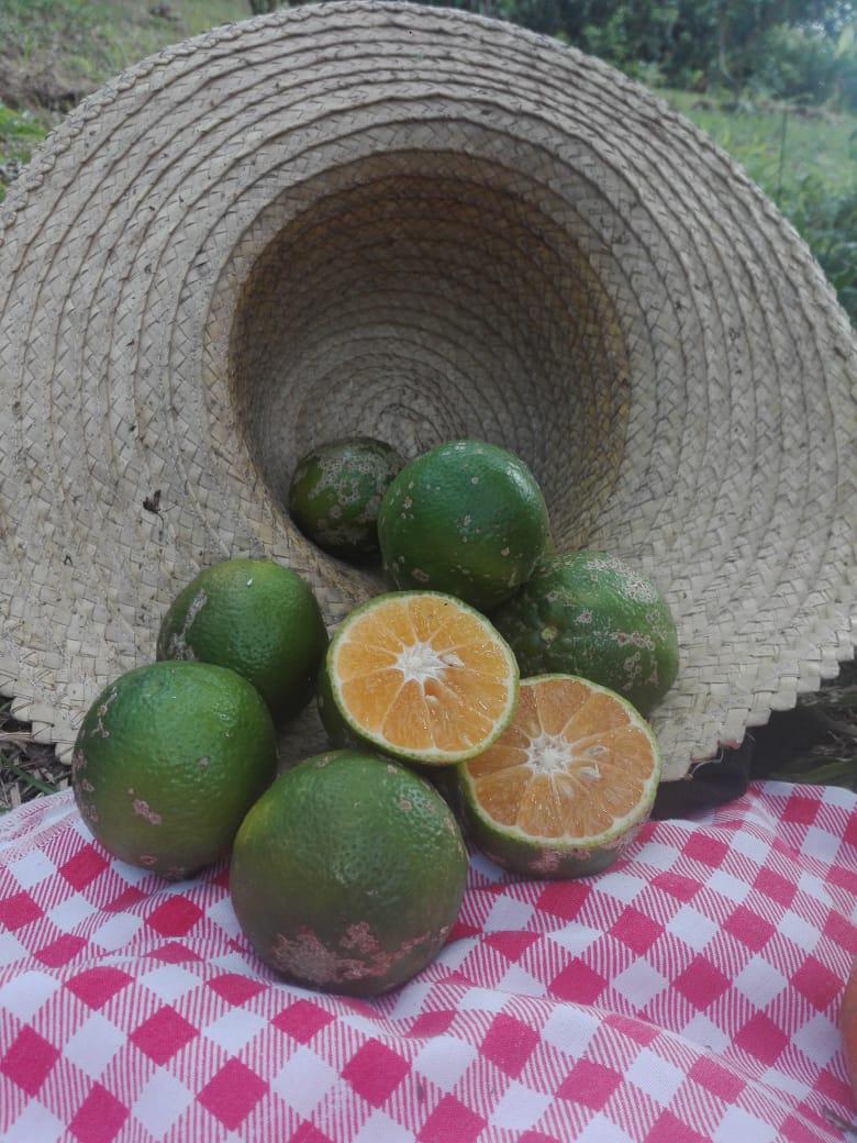 Limon Tahiti