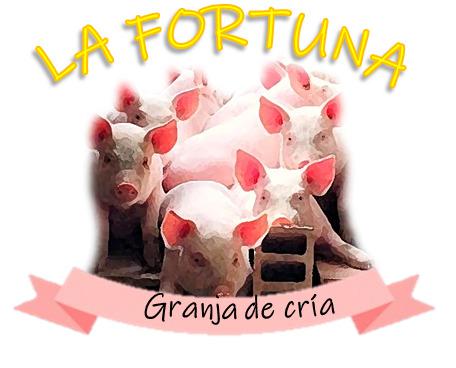 Cerdo De Cria