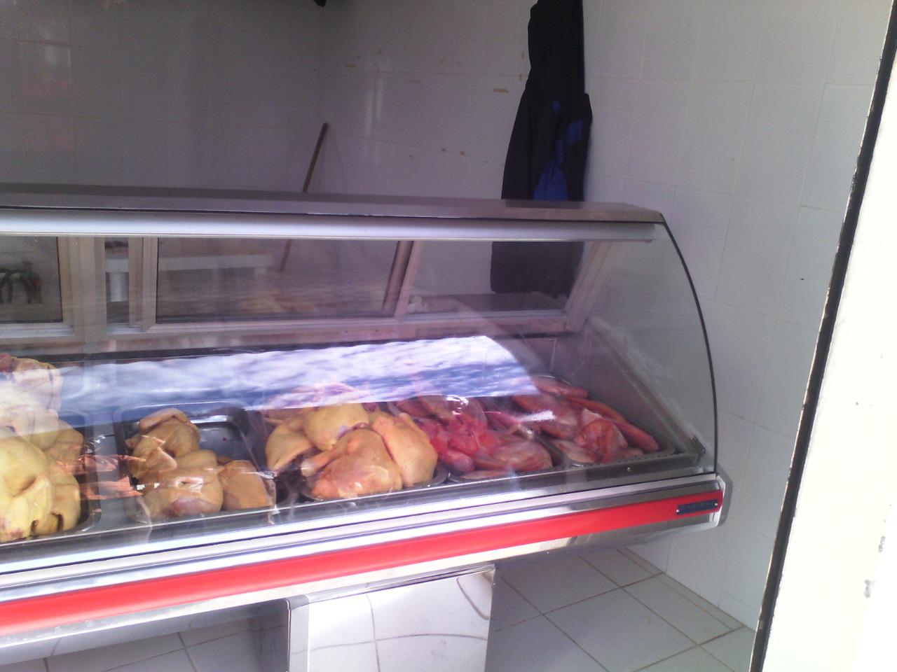 Pollo