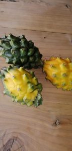 Pitahaya