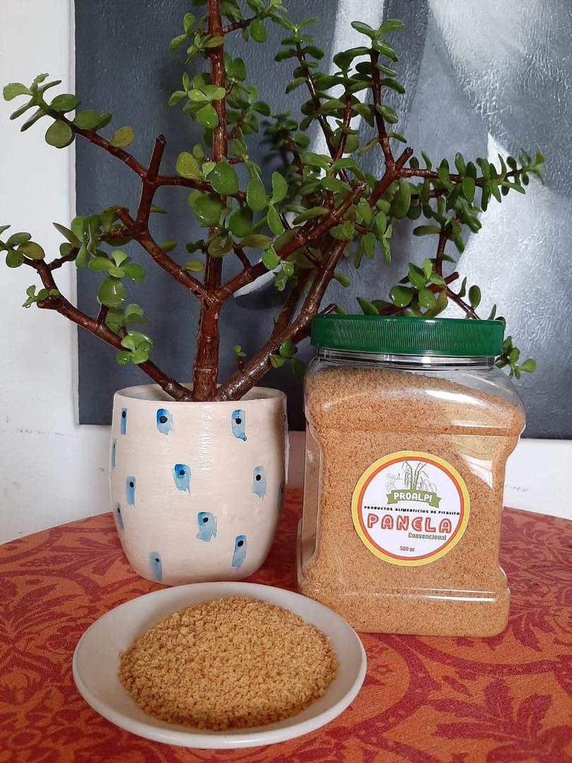 Panela Organica Pulverizada 500 Gr