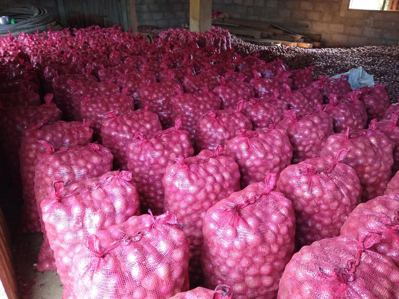 Cebolla Roja