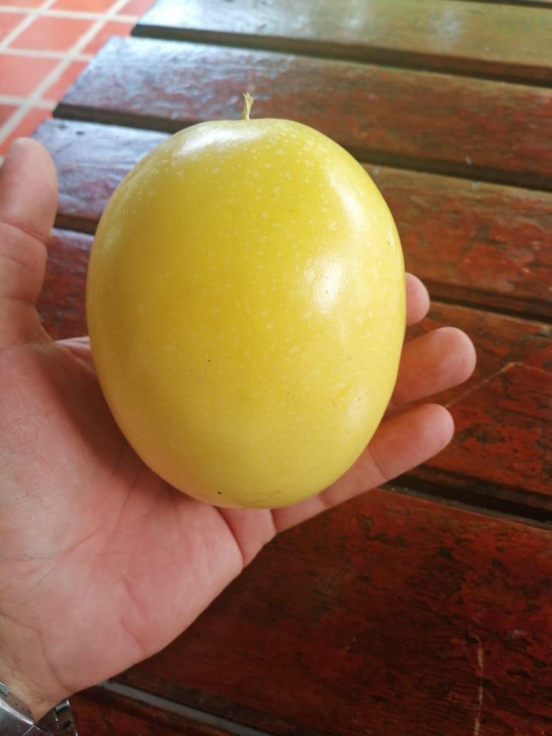 Maracuya Bolsa De 12 Kg