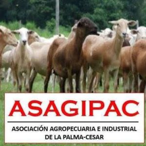 Camuro En Pie X Kilo