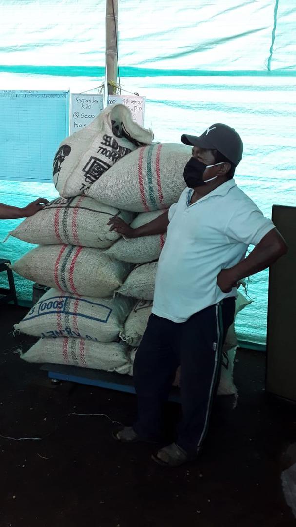 Kilo Pergamino Seco Malla 13 10 De Humedad Precio Del Dia13122020