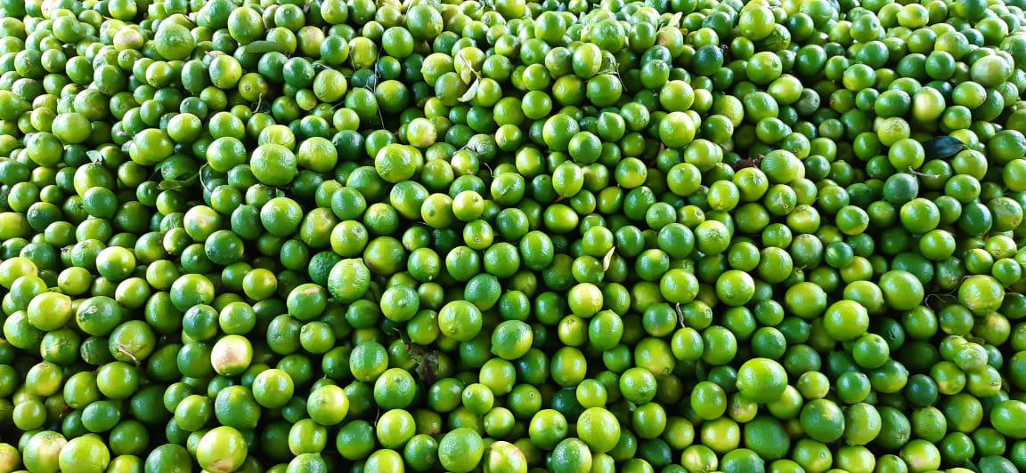 Limon Tahiti