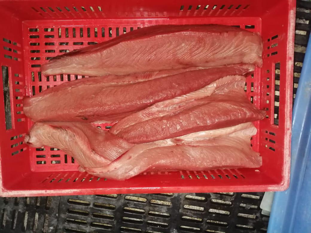 Pescado De Mar