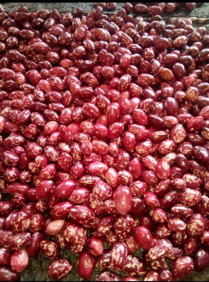 Bulto De Frijol Cargamanto