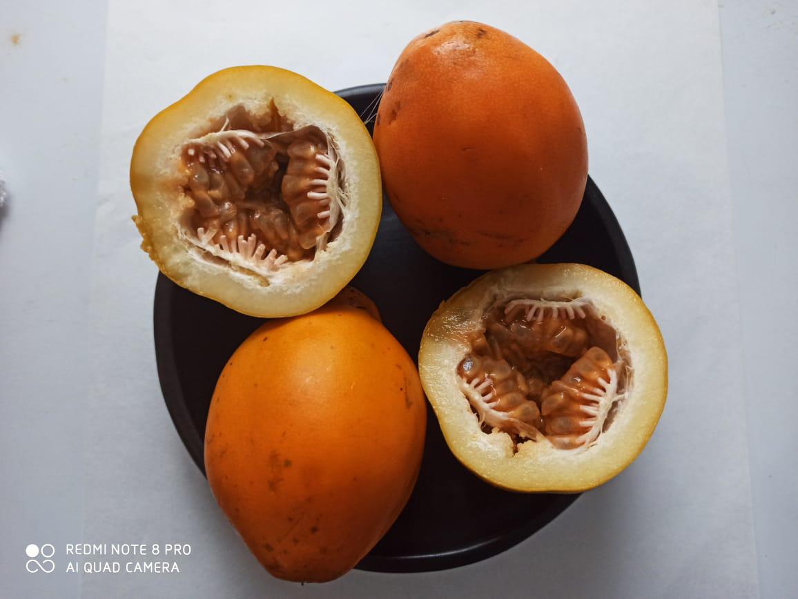 Maracuba