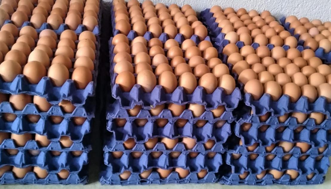 Canasta De Huevos X 30 Unidades