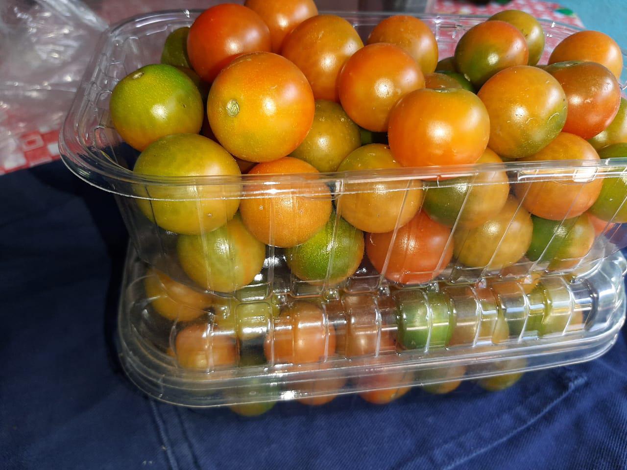 Bandejas De Tomate Cherry