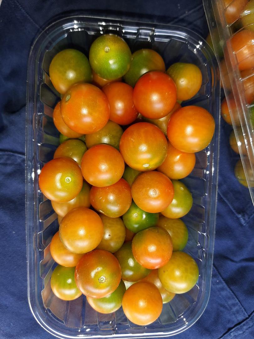 Bandejas De Tomate Cherry