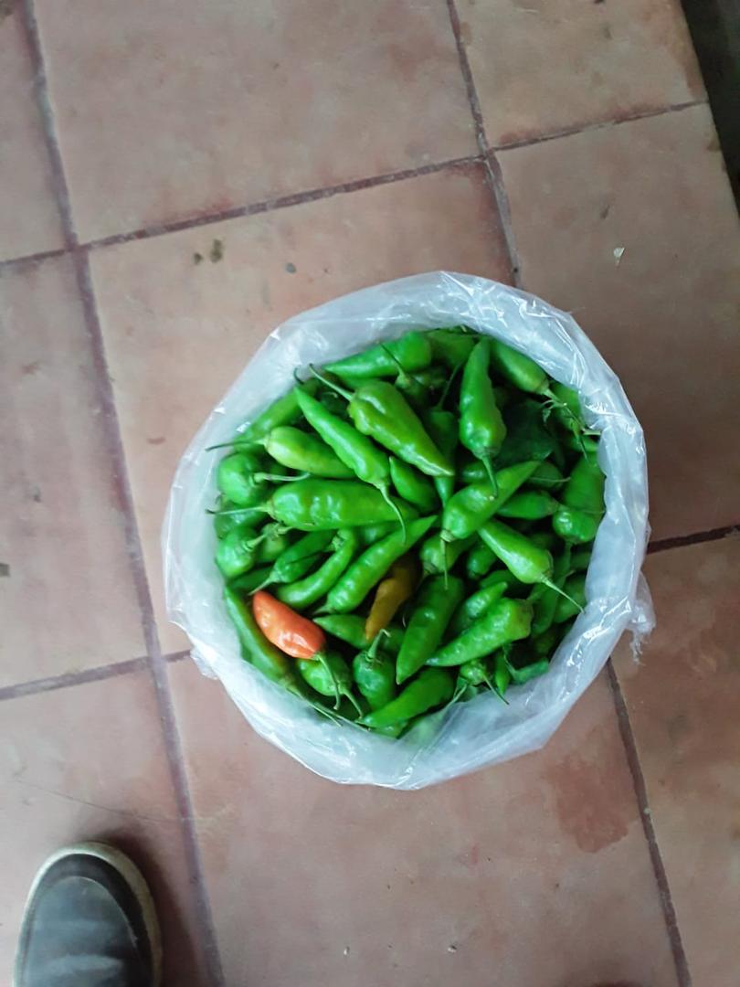 Aji