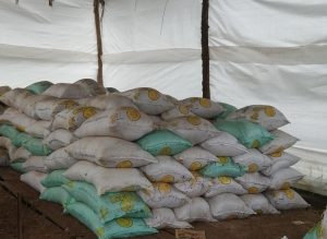 Pollinaza Compostada