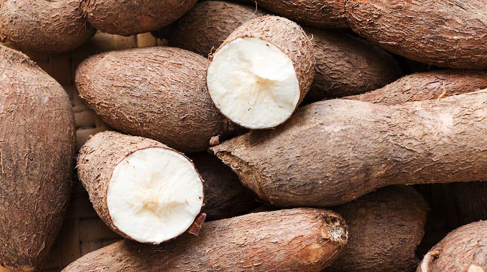 Yuca