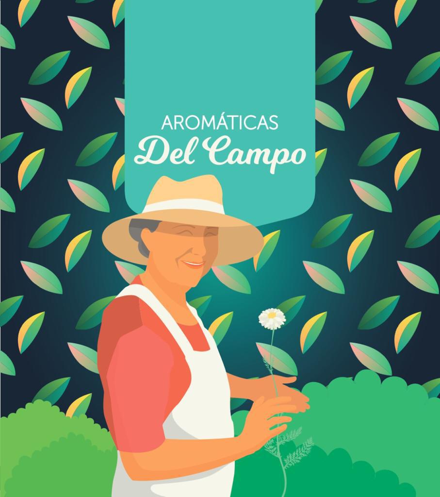 Aromaticas Y Medicinales En Tissanas X 100 Unidades